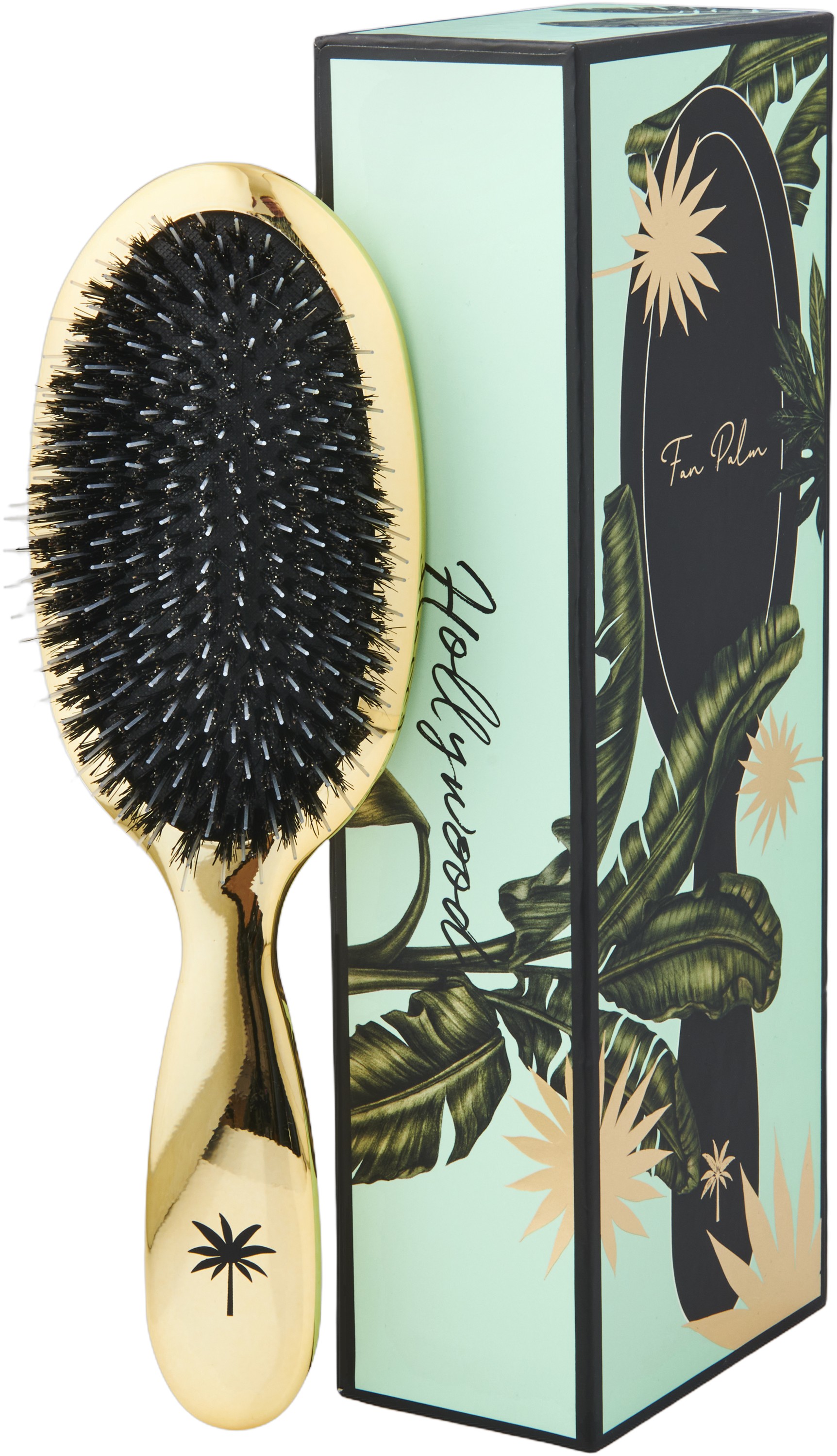 Boar & Nylon Brush Hollywood Medium