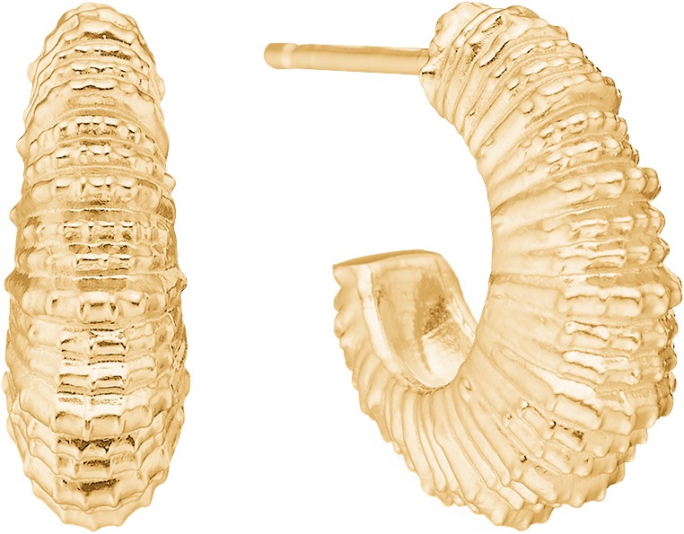 Seashell Secrets Ãrestikker Forgyldt