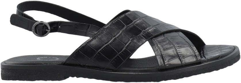 Casgitta Cross Sandal Croco