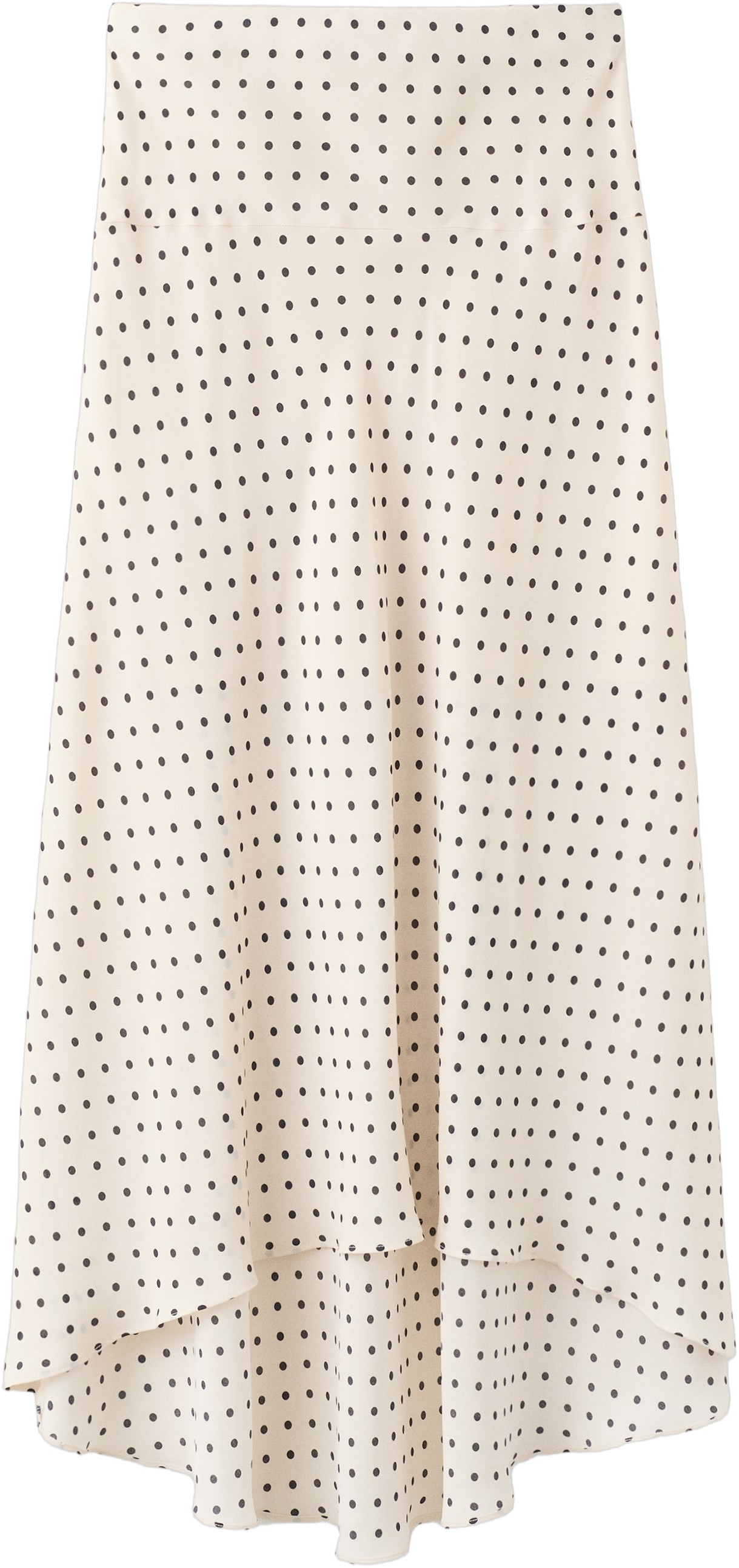 Long Polkadot Skirt