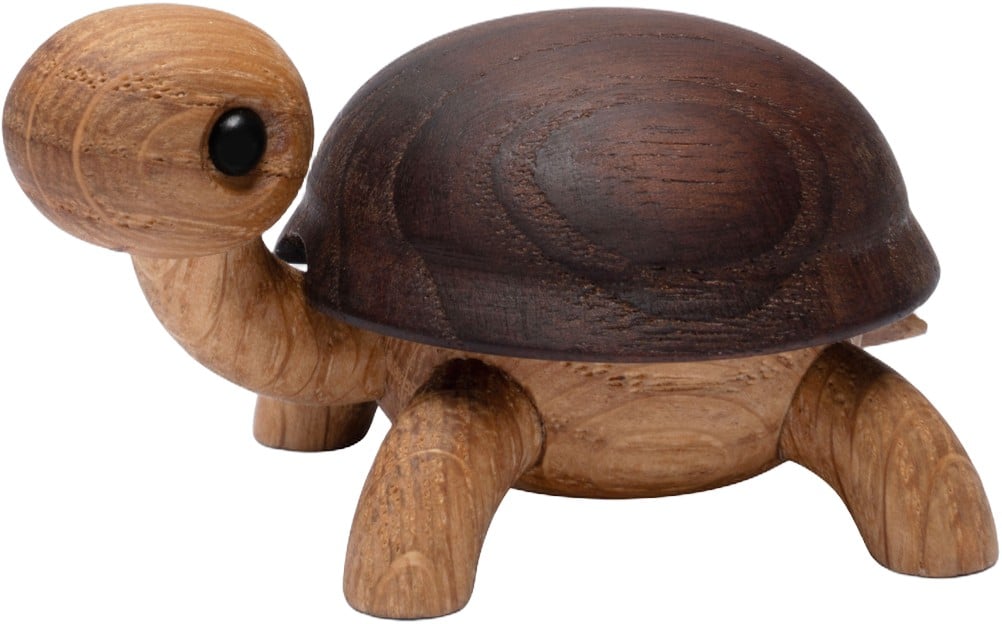 Sporty, Skildpaddeunge