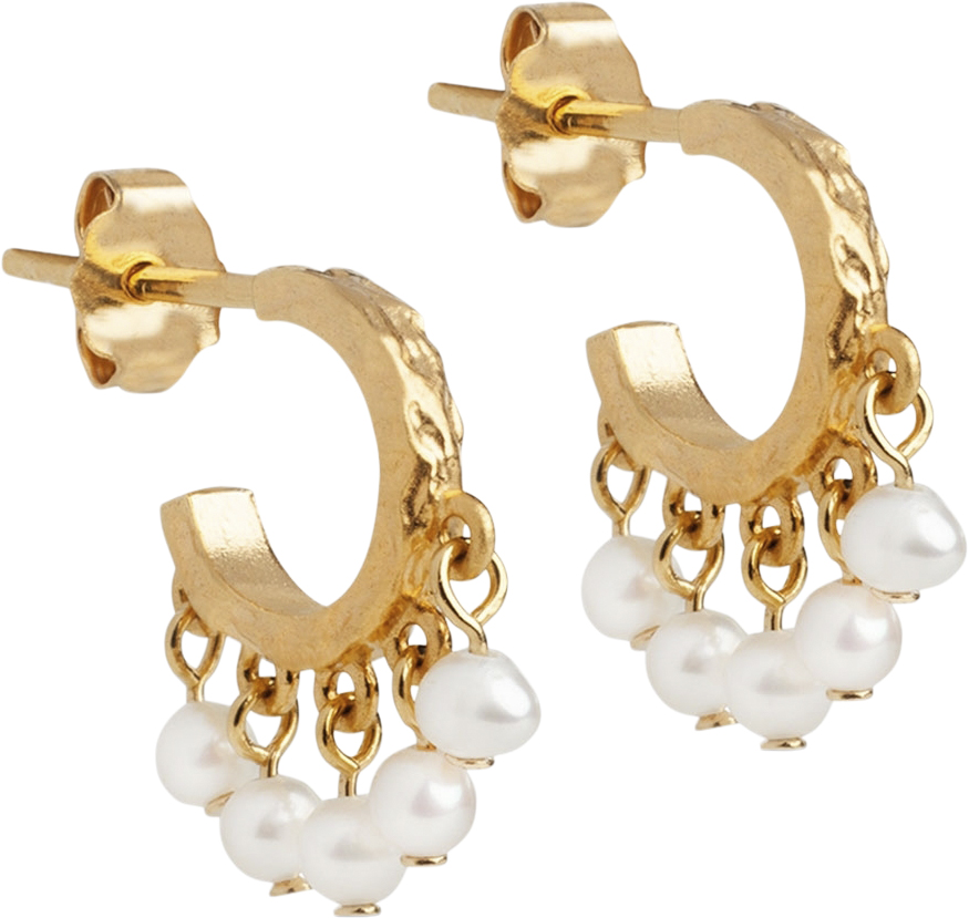 Earring, Astrid