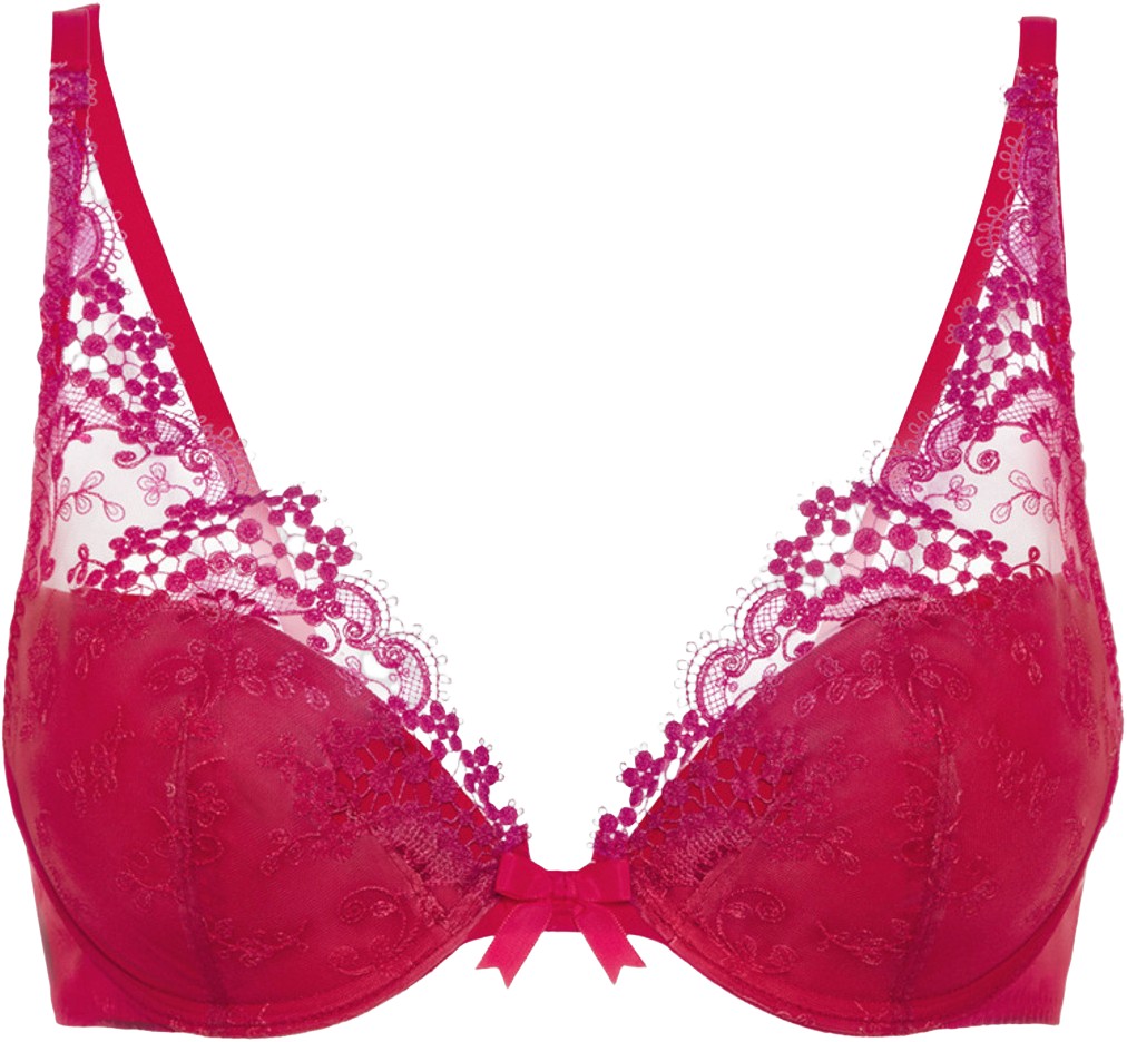 Wish Plunging Pushup bra