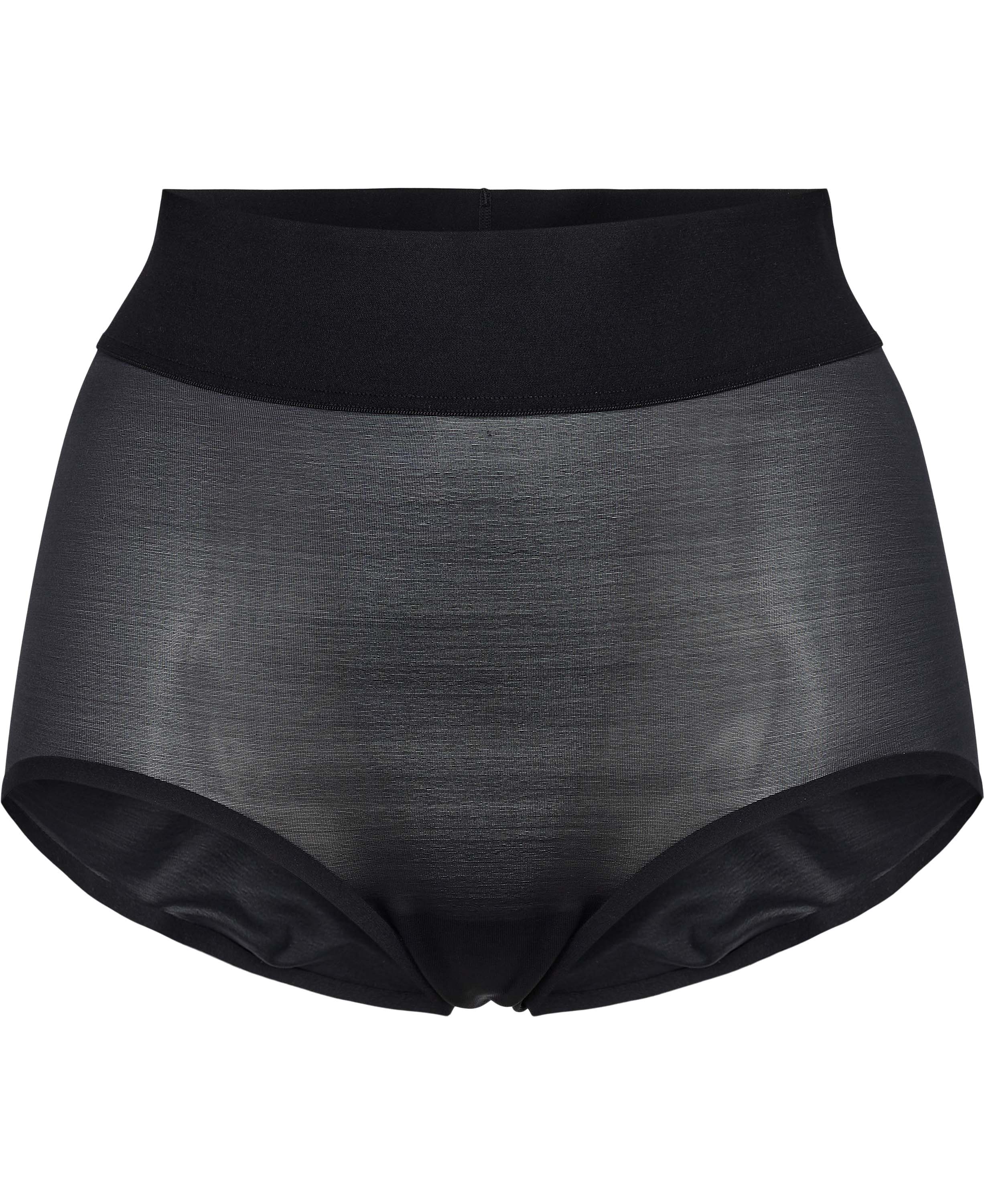 Sheer Touch Control Panty