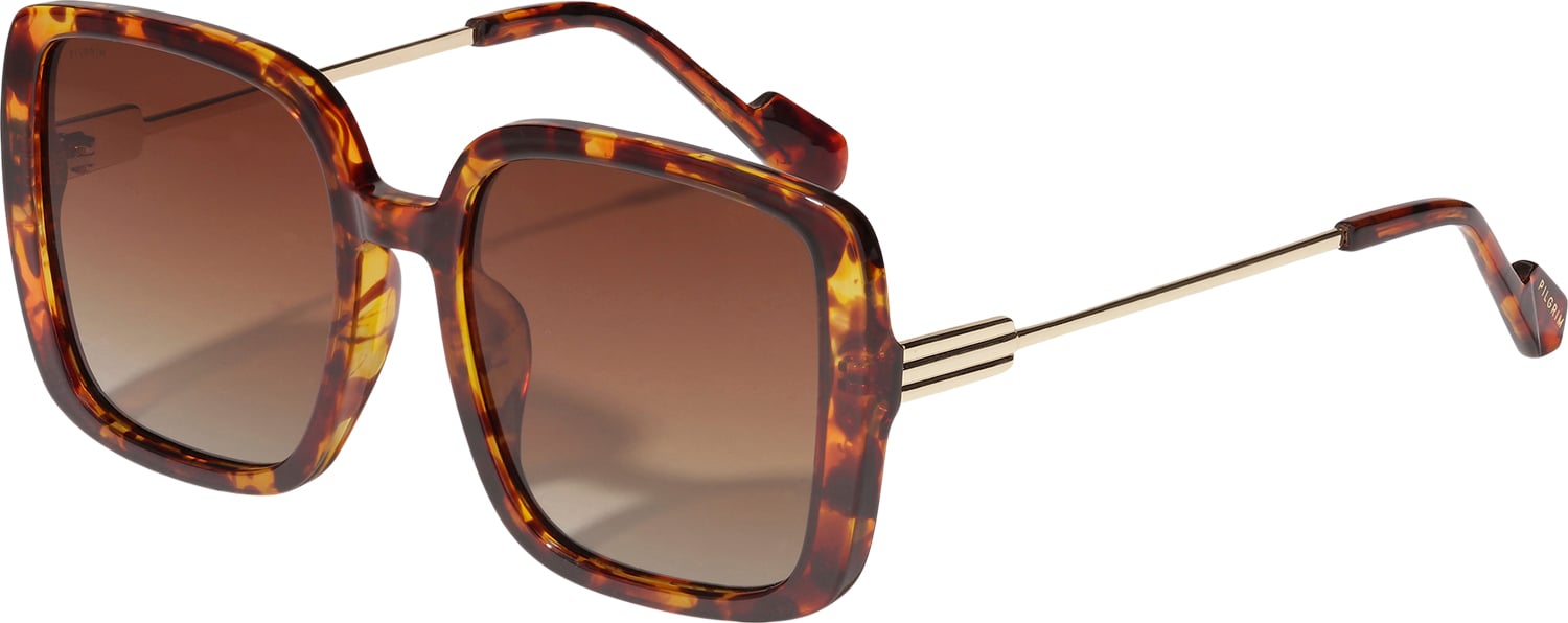 Aliet Sunglasses Tortoise Brown/gold