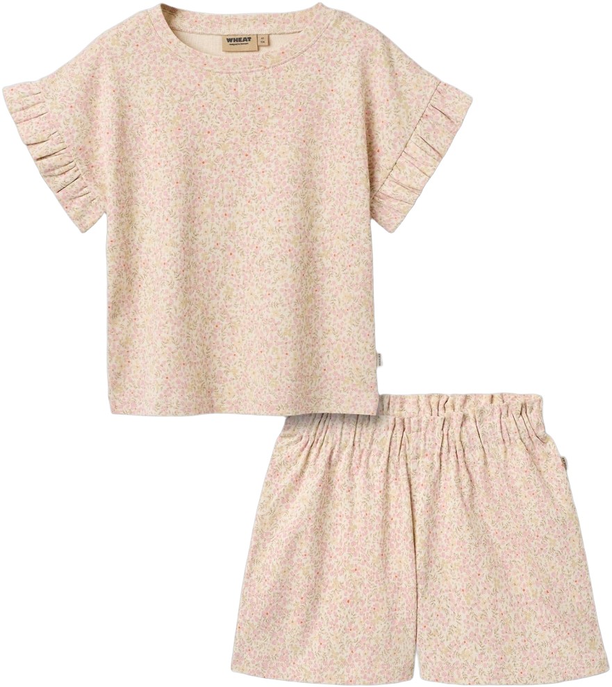 Todelt SÃ¦t med Tshirt og Shorts