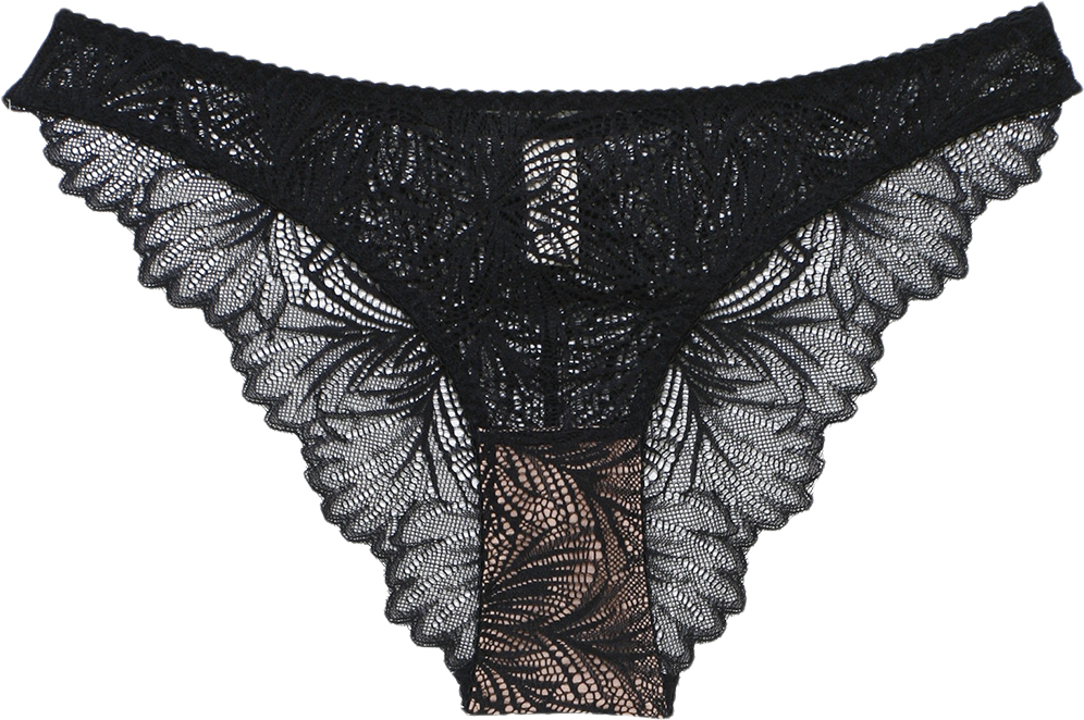 Lima Briefs