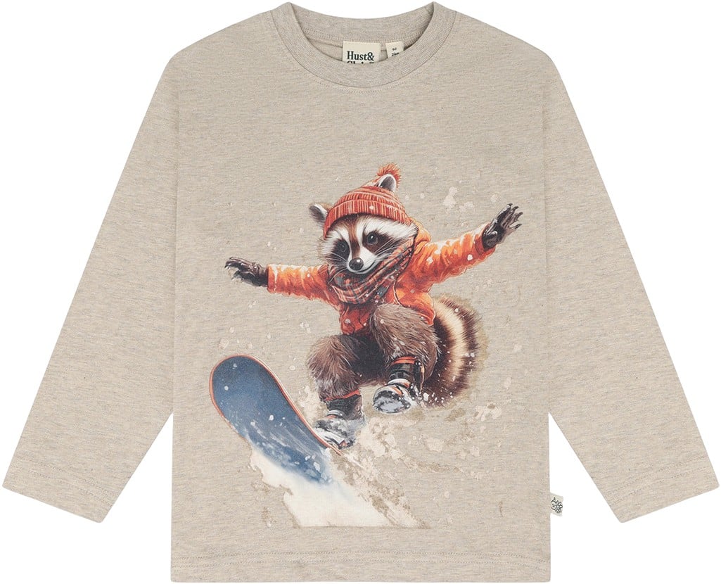 Hcanton Racoon