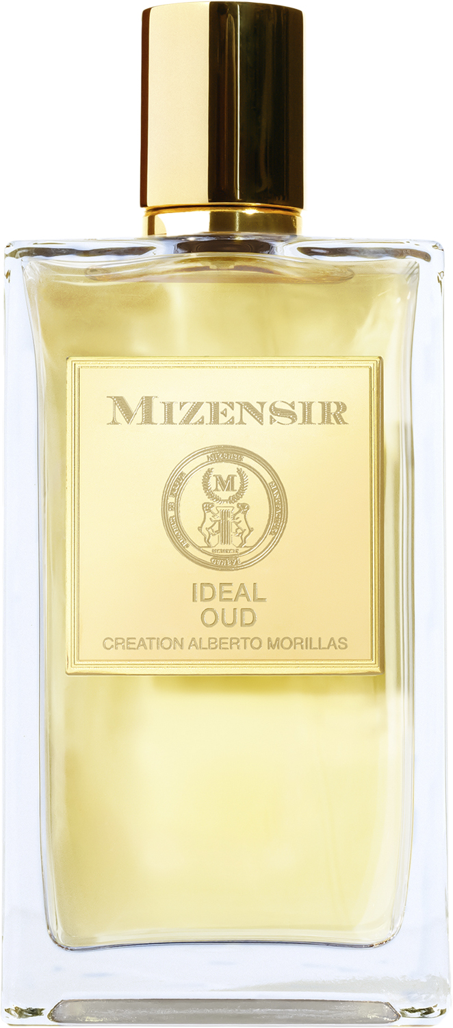 Ideal Oud 100ml Edp Spray