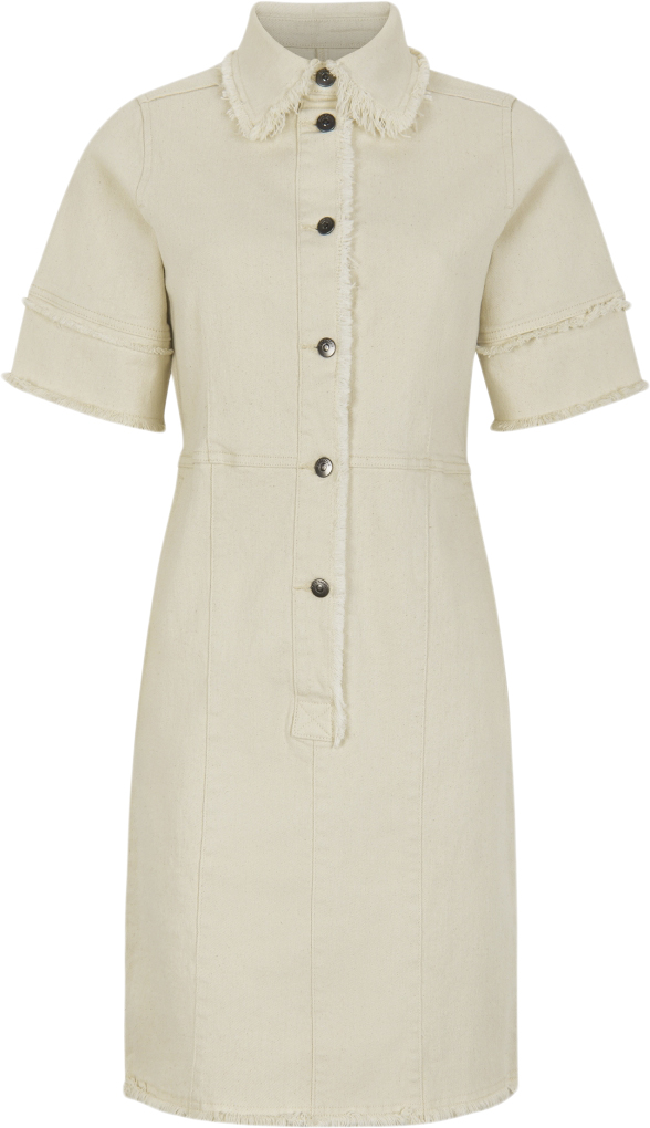 Srpheobe Dress Denim
