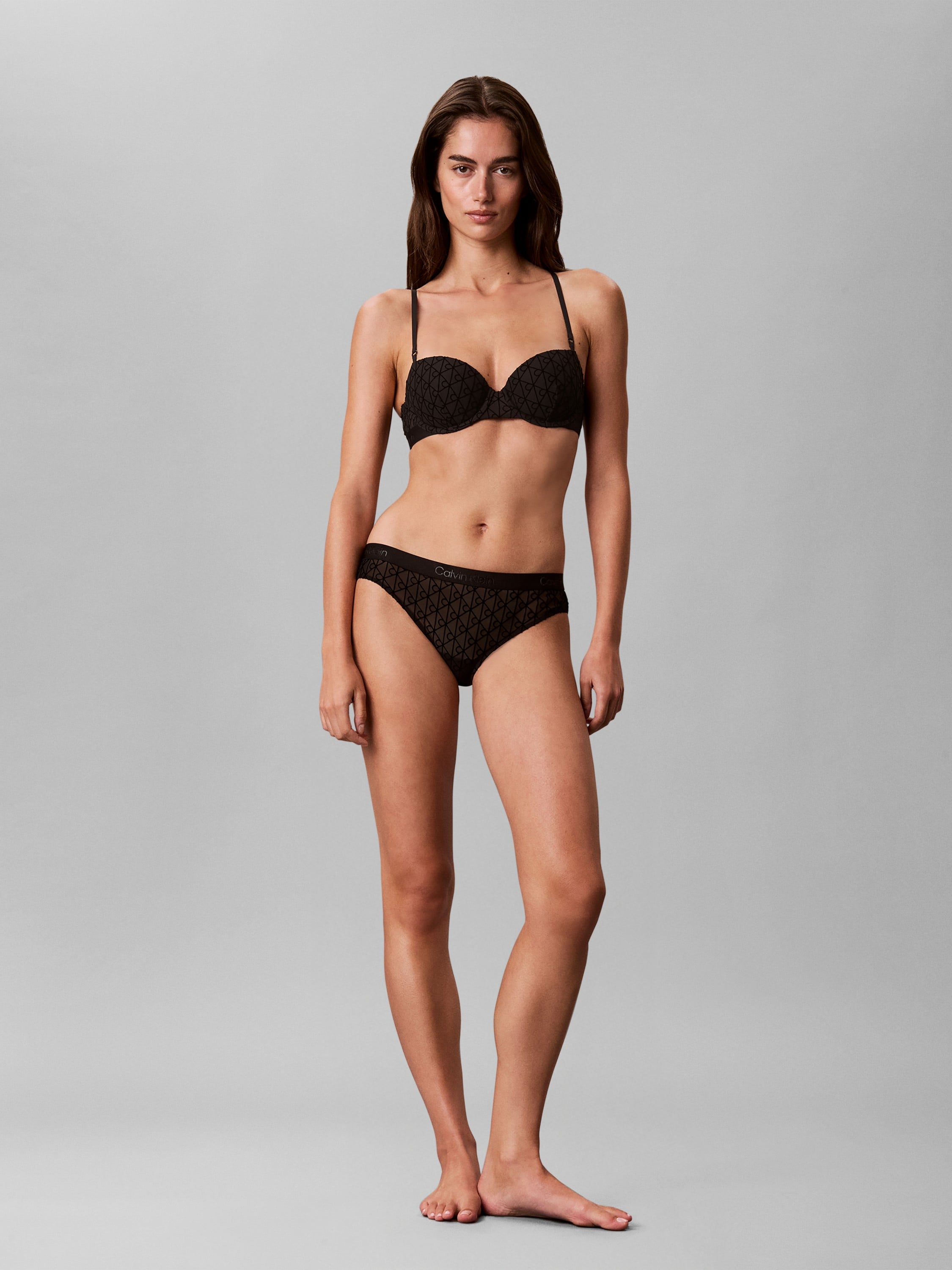 Bikini Briefs Emblem Flocked Mesh