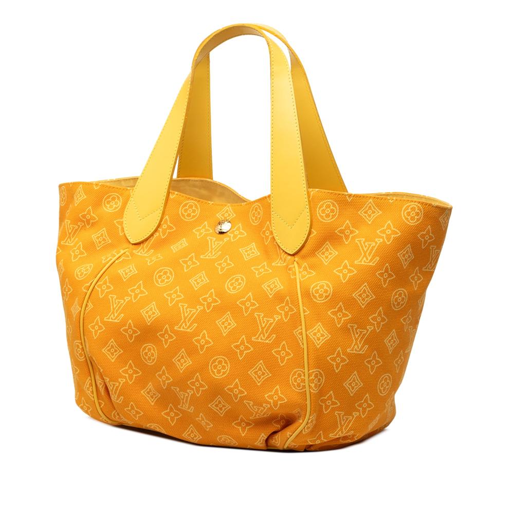 Louis Vuitton Damier Ebene Ipanema