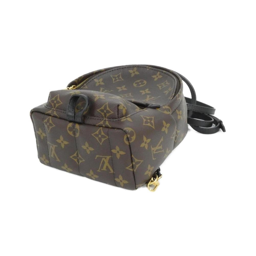 Louis Vuitton Palm Springs
