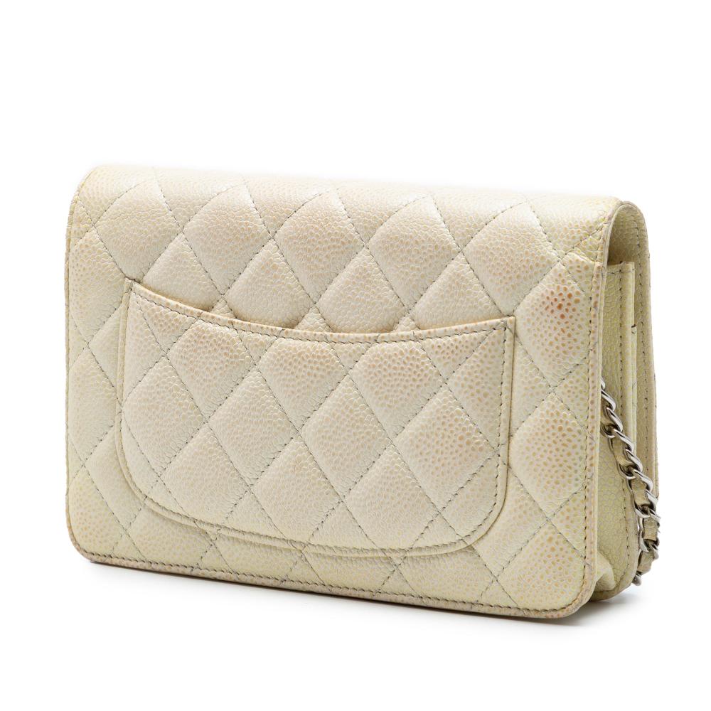 Chanel Flap Bag