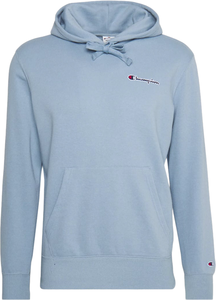 Small Script Logo Heavy Cotton Hættetrøje