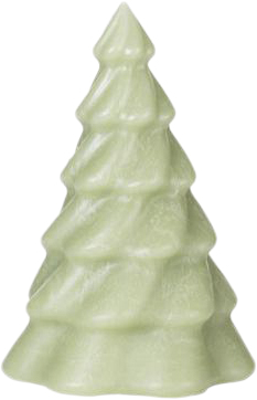 Pinus