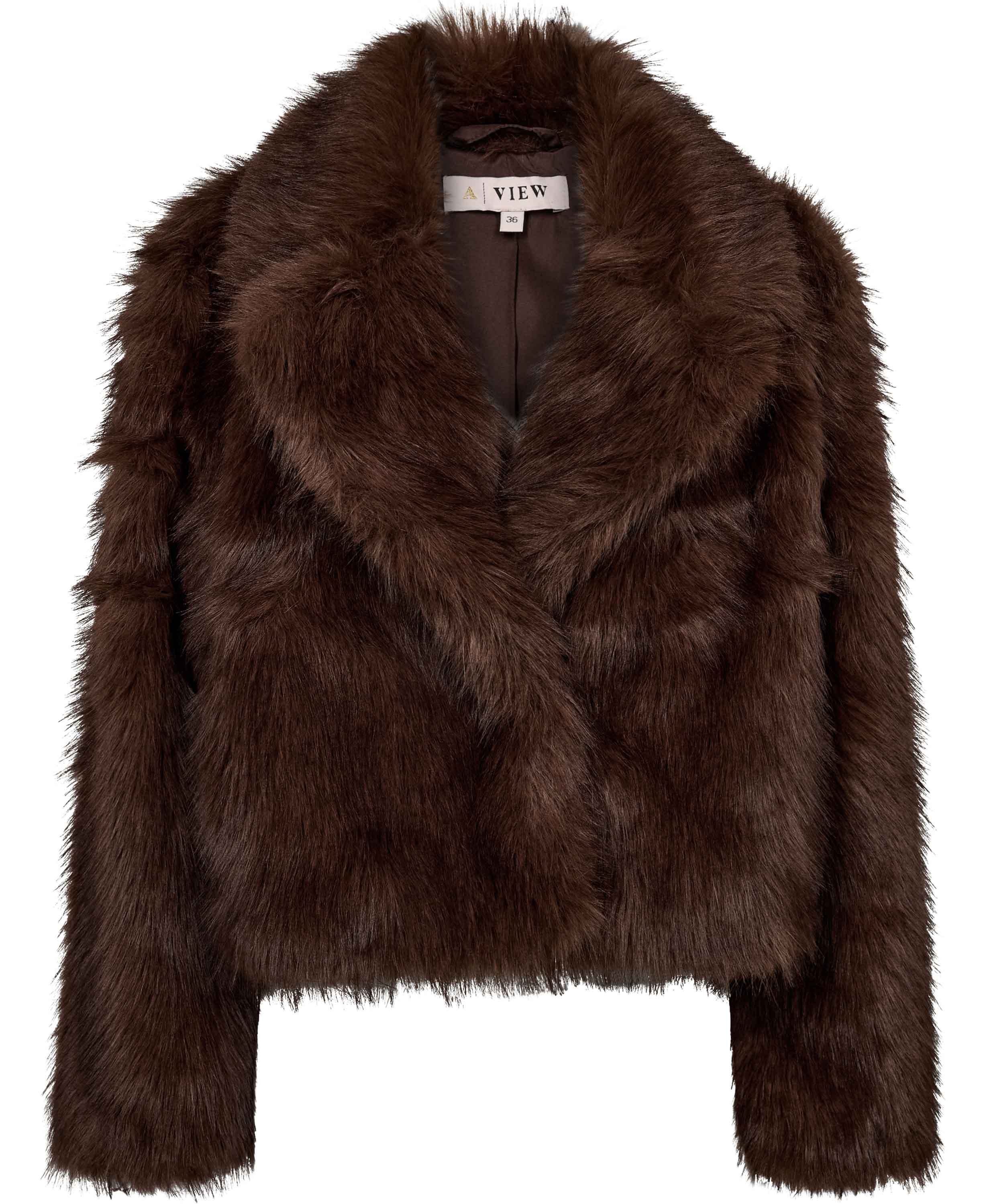 Brown Jacket