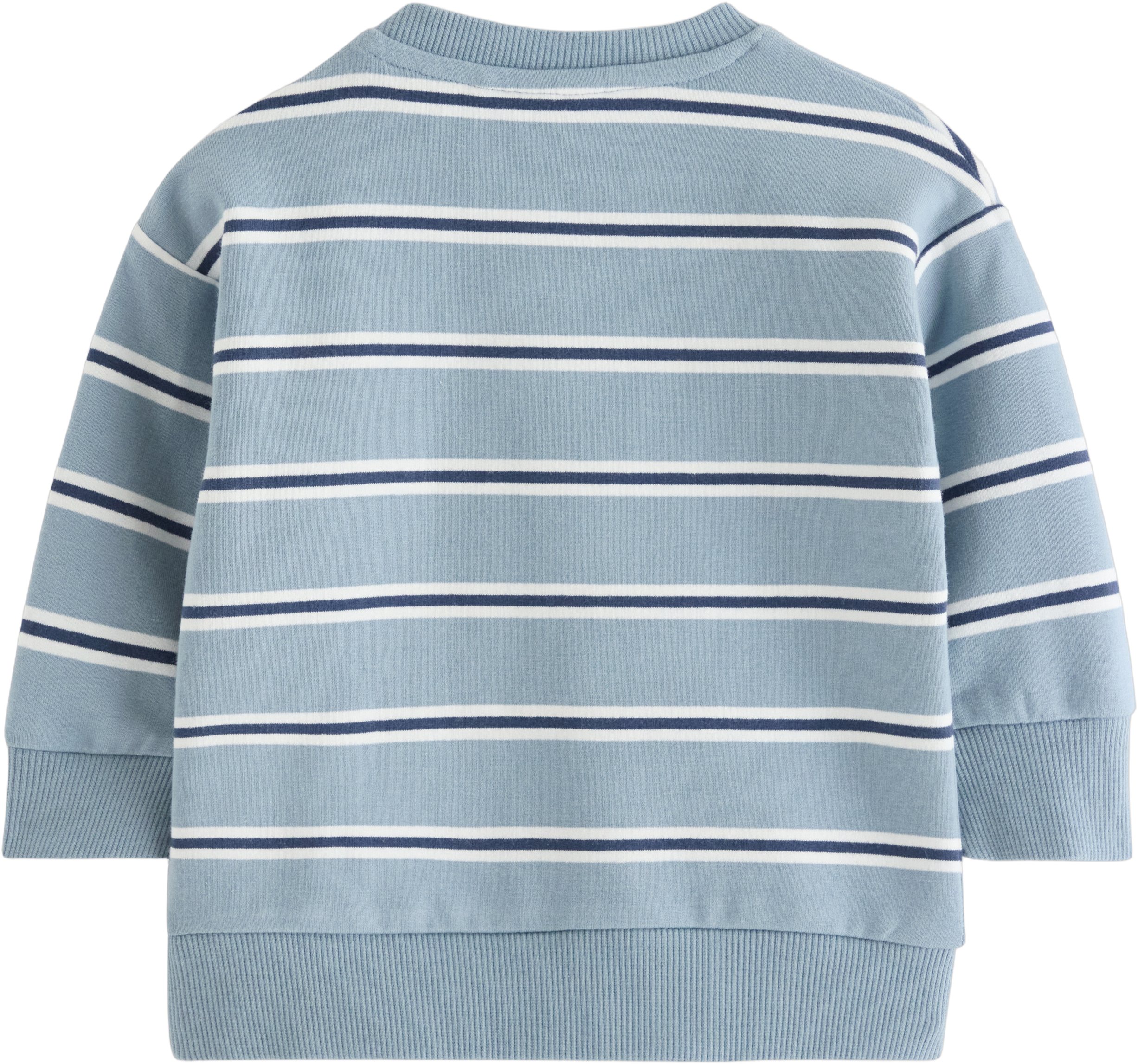 Sweatshirt med Borstad Insida