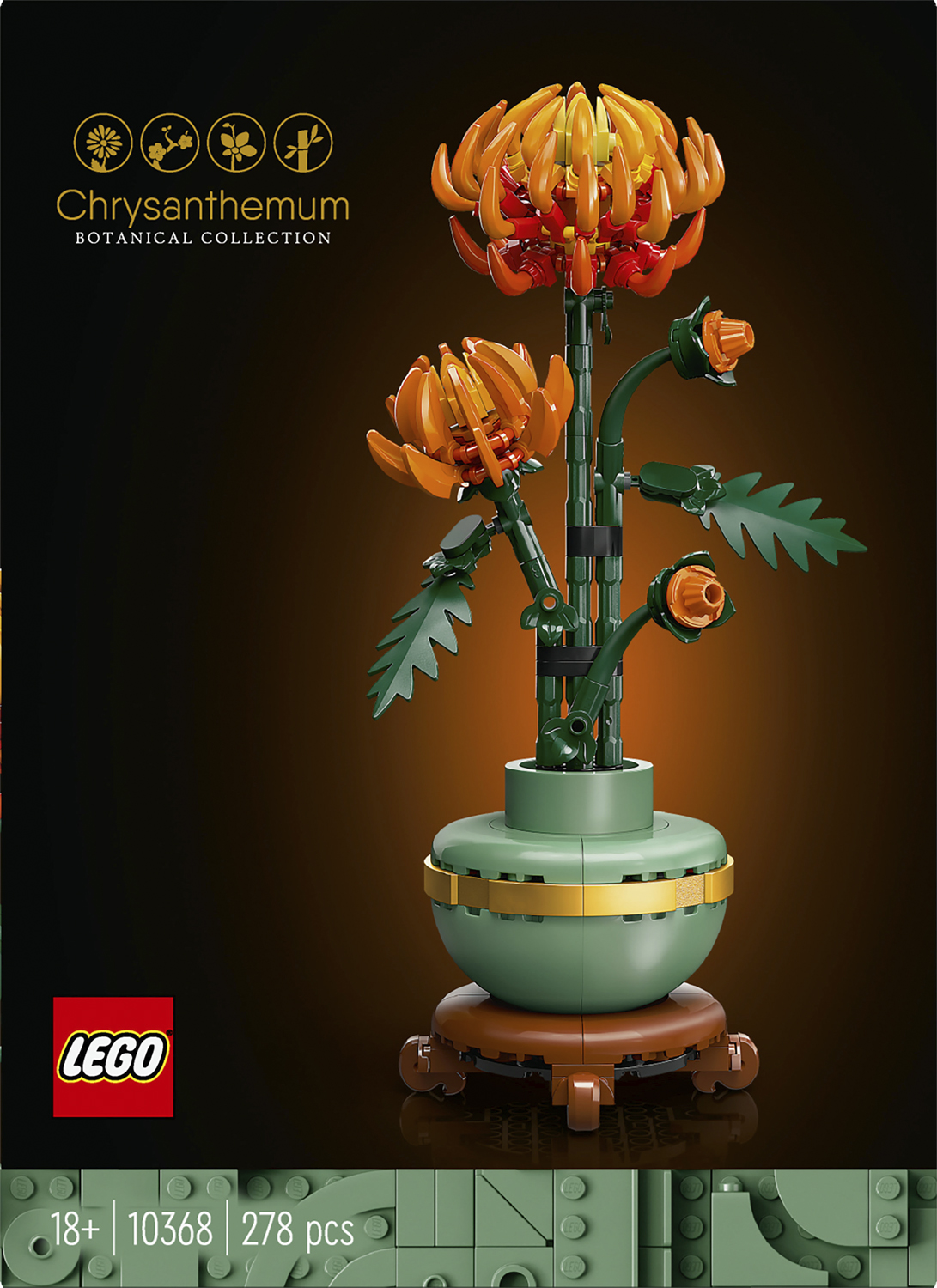 Krysantemum 10368