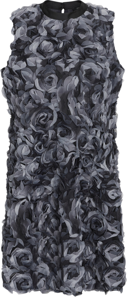 Clarkiasbbchi Dress