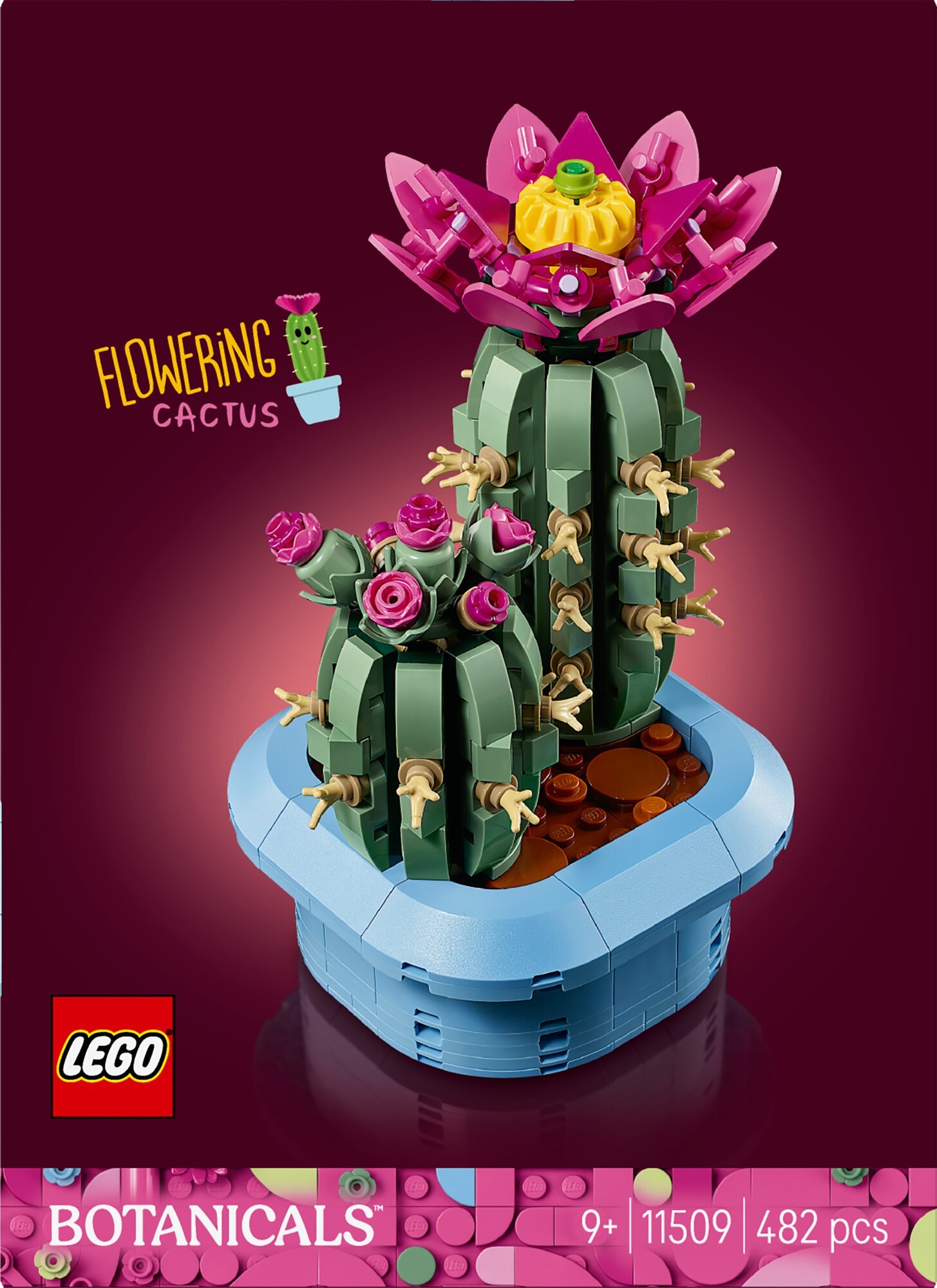 Blomstrende Kaktus 11509