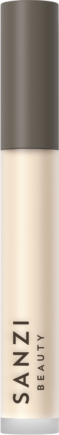 Perfecting Concealer