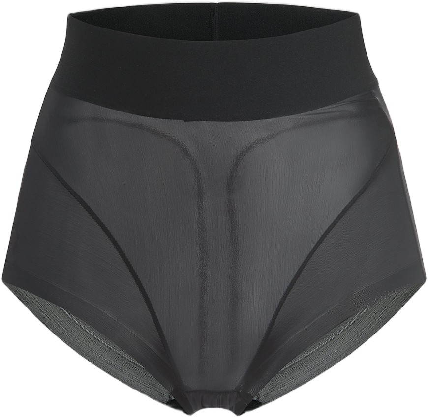 Sheer T. Curve Enhancing Brief 4w2021