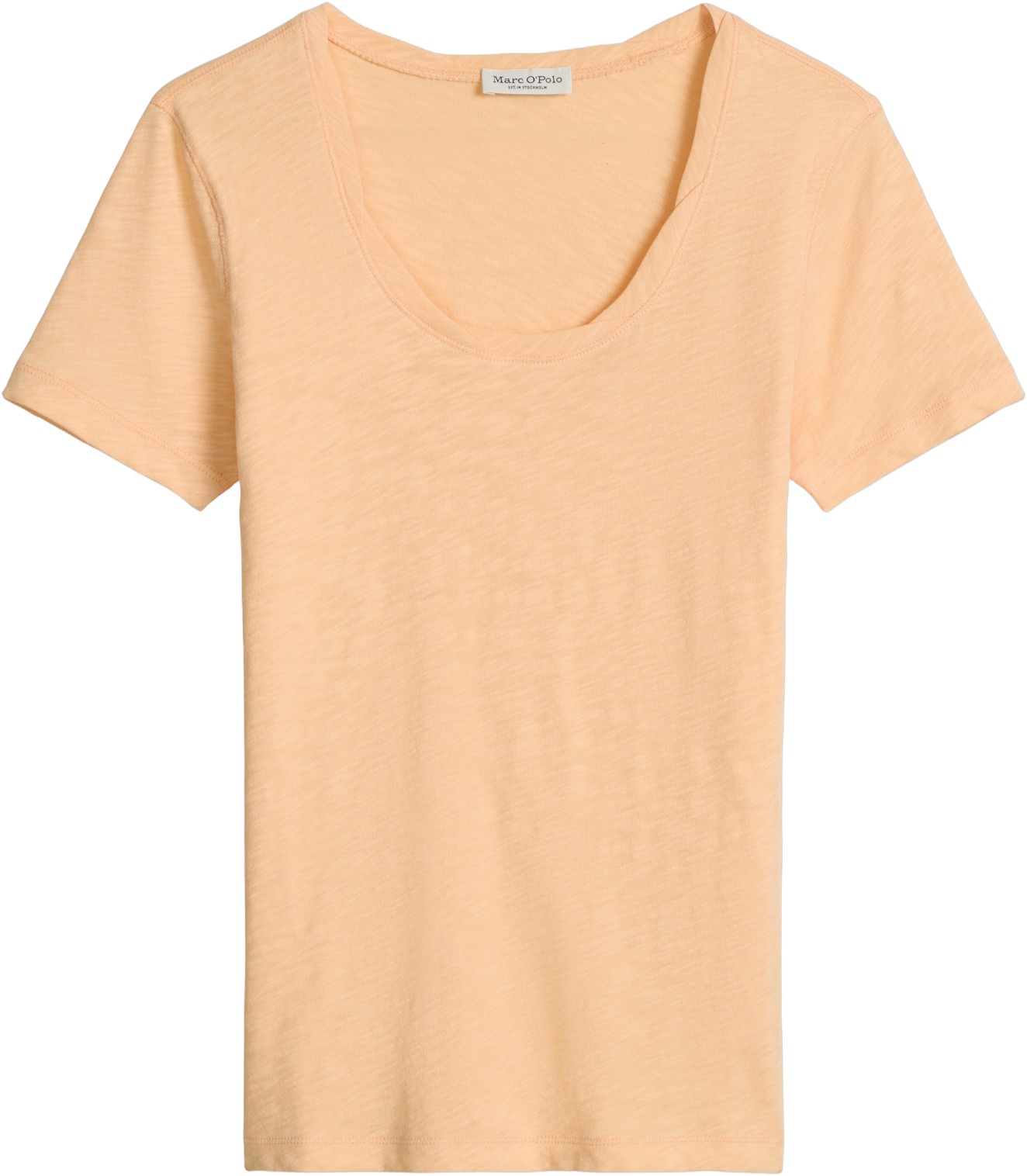 Jersey Tshirts Shortsleeve