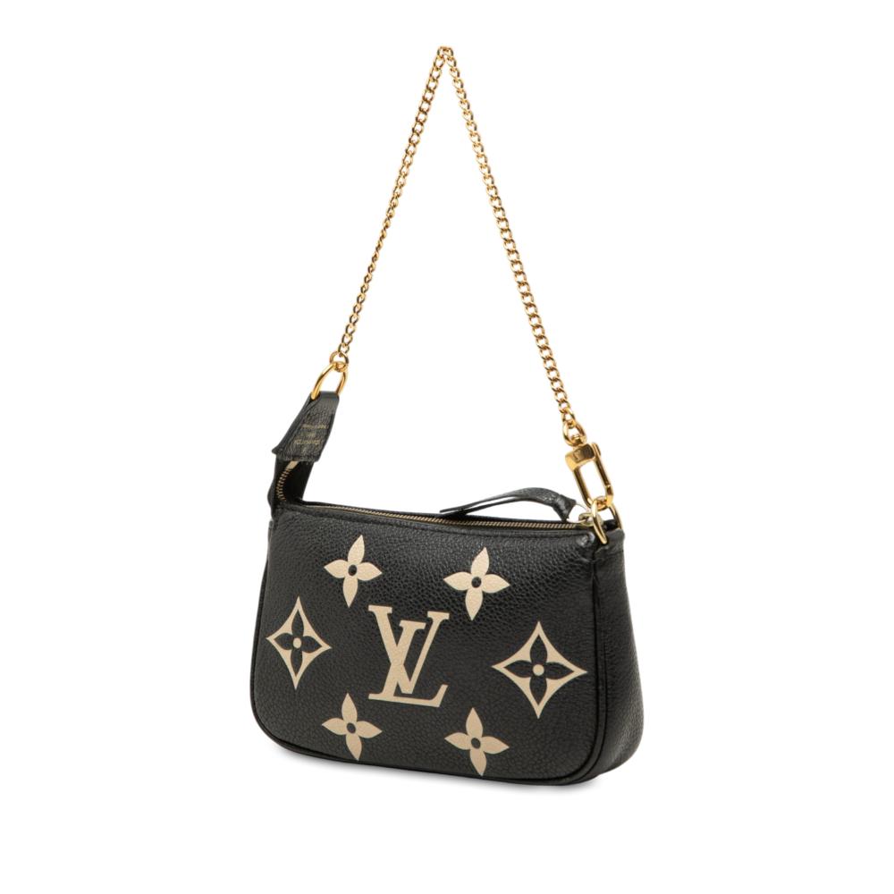 Louis Vuitton Pochette Accessoires