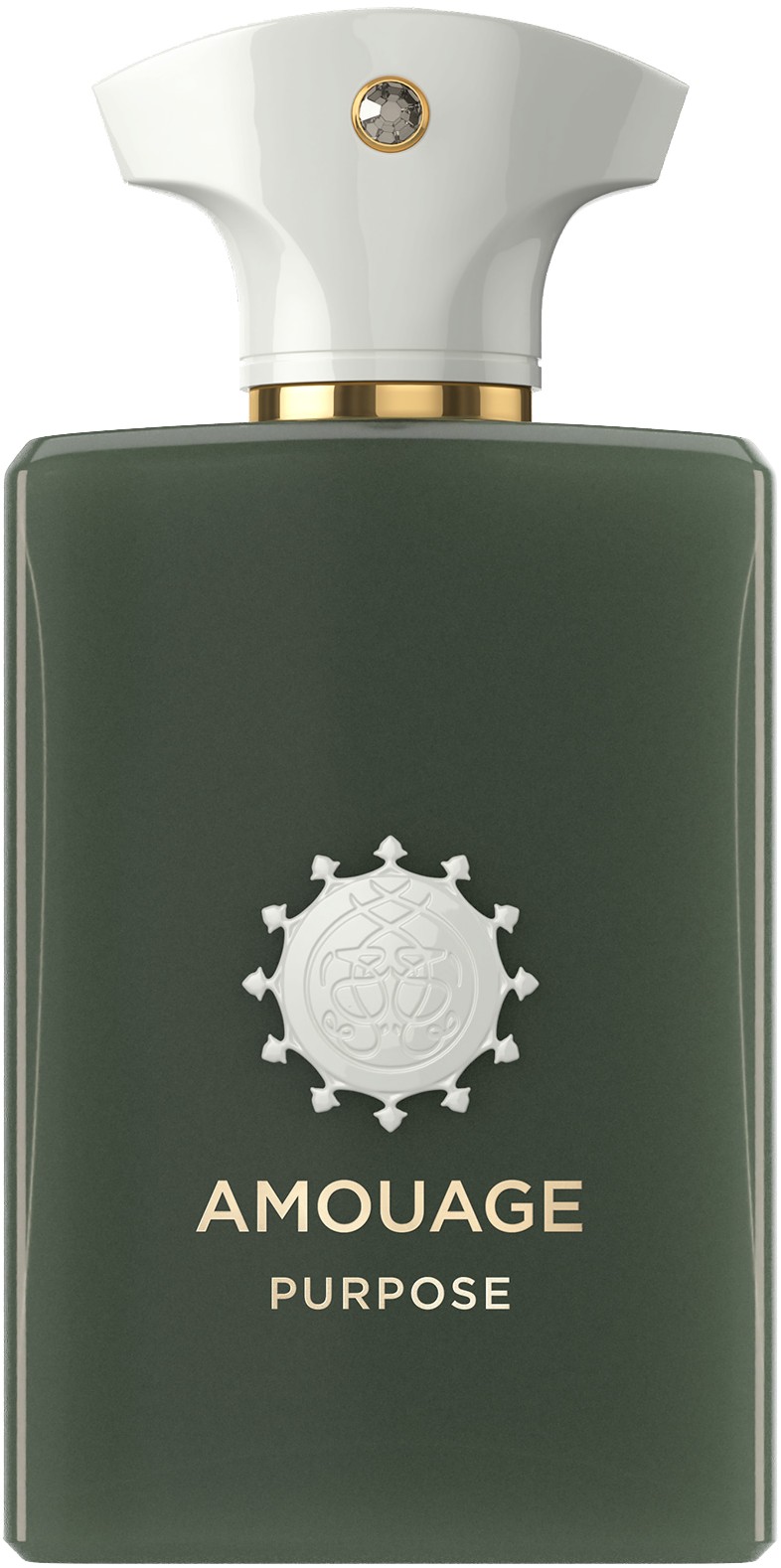 Purpose Man Edp 100ml