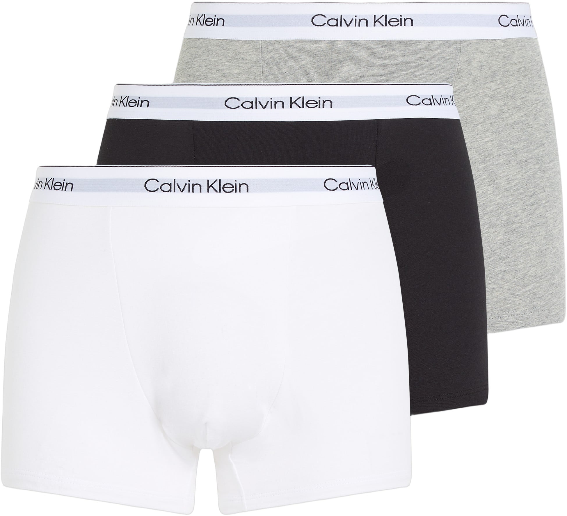 Relaxed Dart Trunk 3PK
