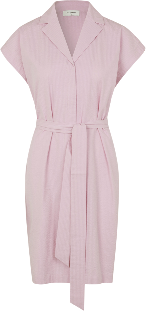 Pannemd Dress