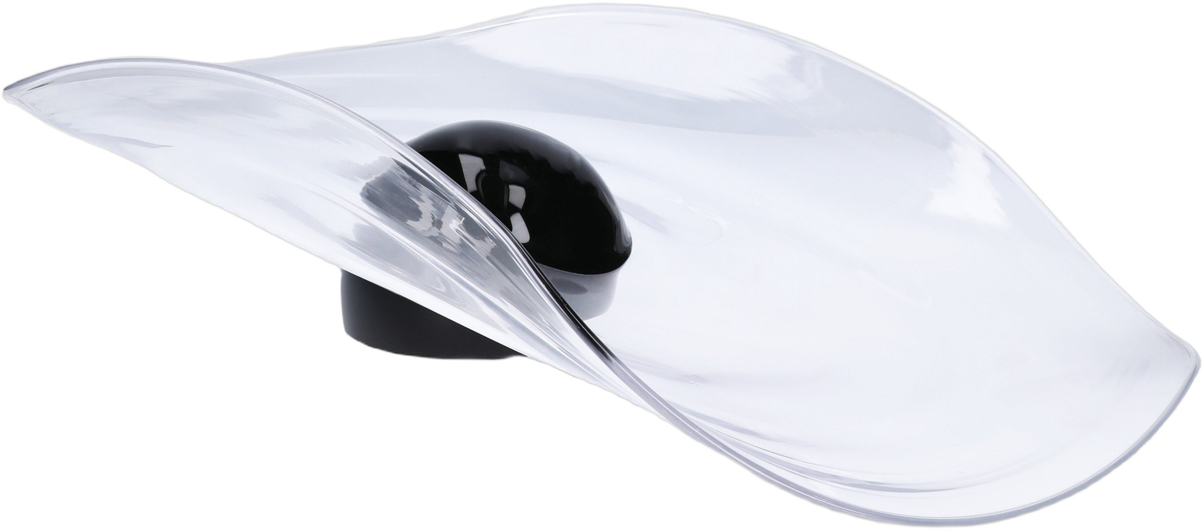 Silhouette Centerpiece Klar