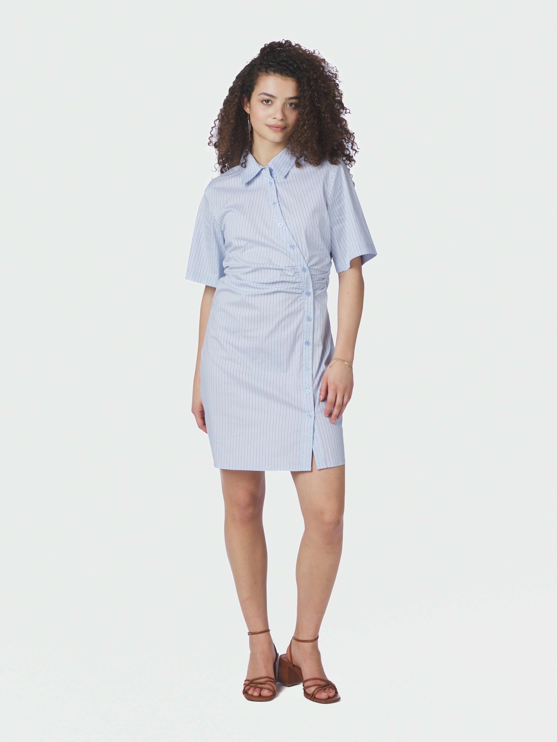 Jas Stripe Shirt Dress