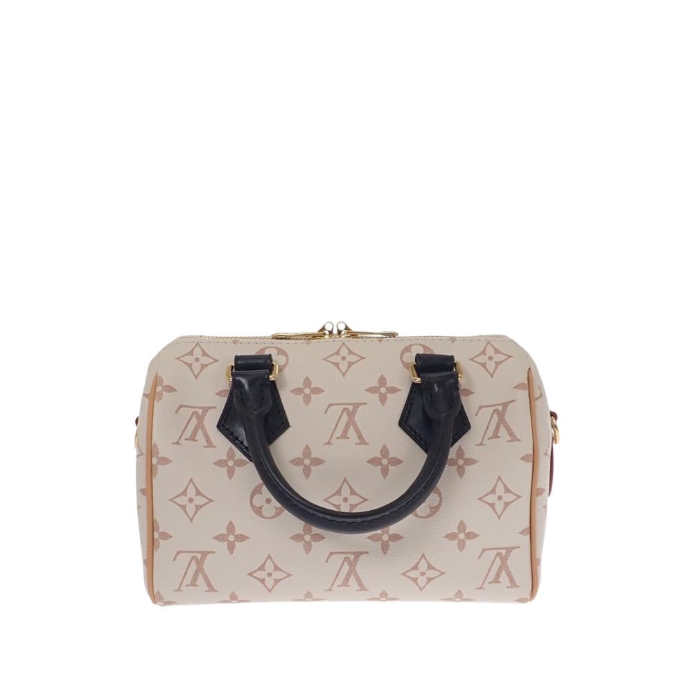 Louis Vuitton Speedy