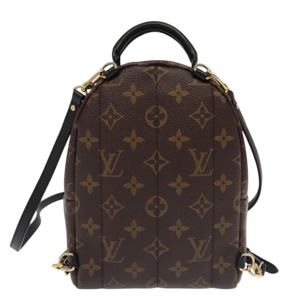 Louis Vuitton Palm Springs