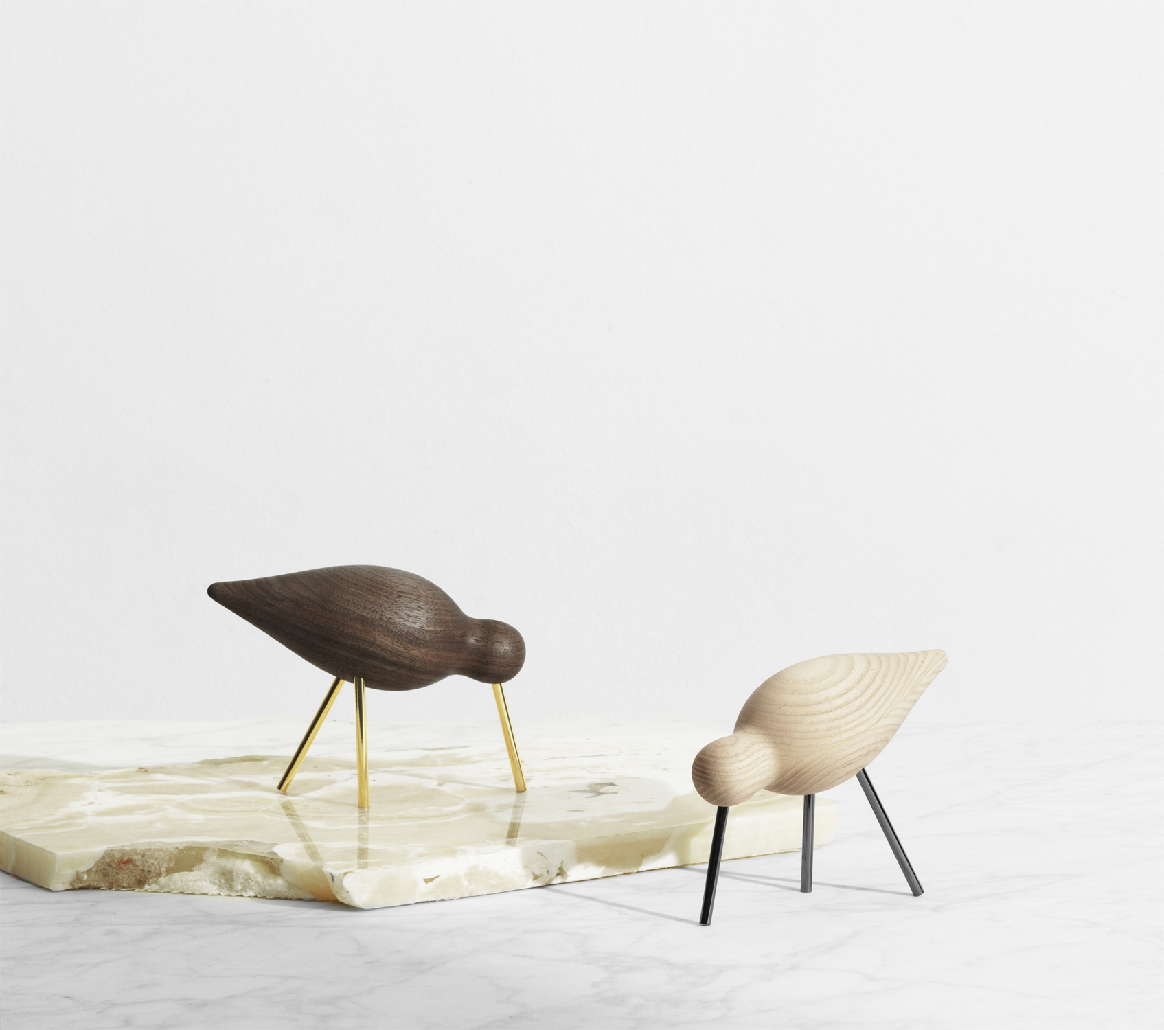 Billede af Shorebird