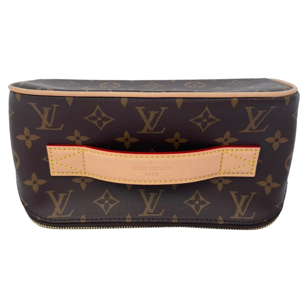 Louis Vuitton Cosmetic Pouch
