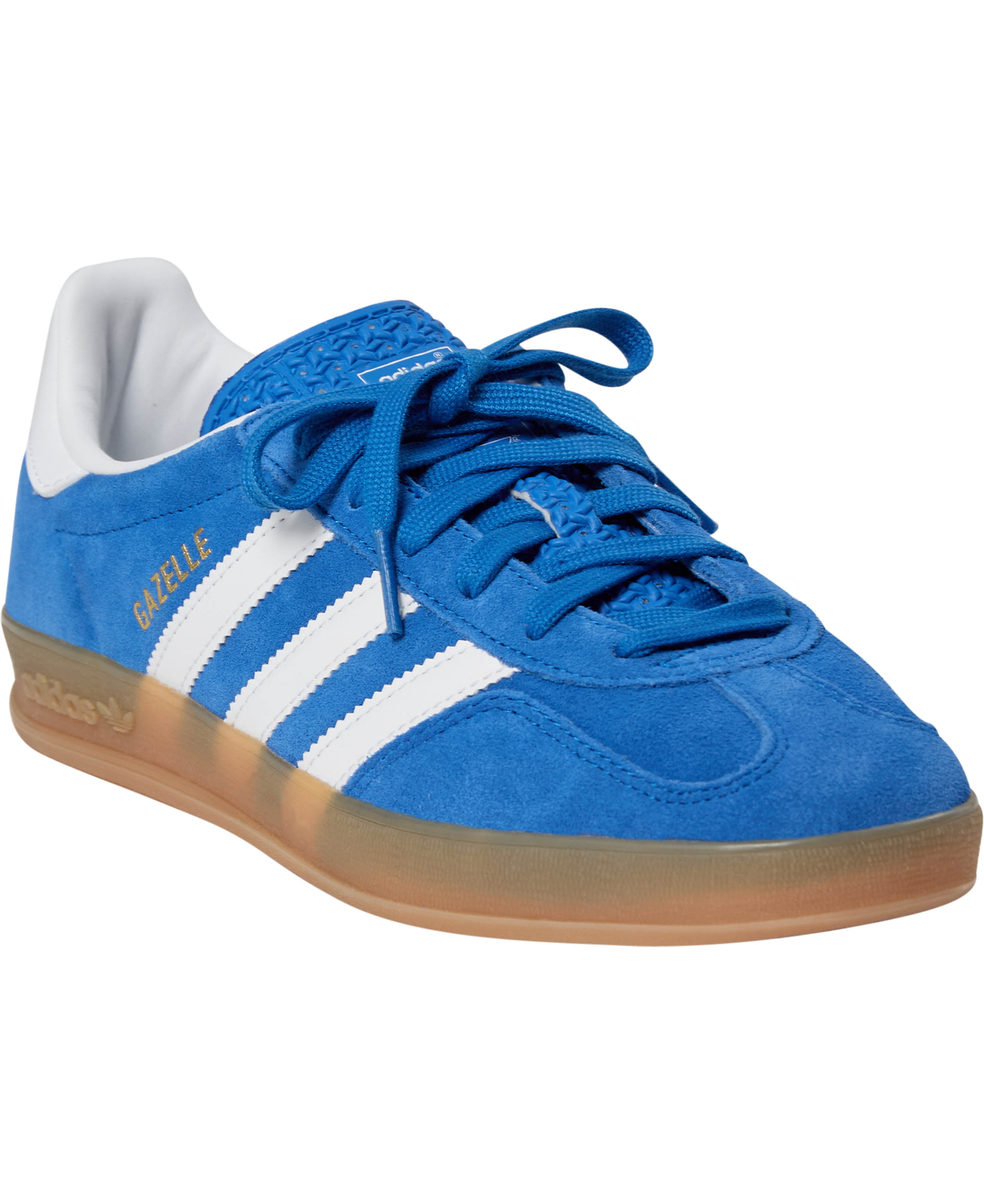 Gazelle Indoor