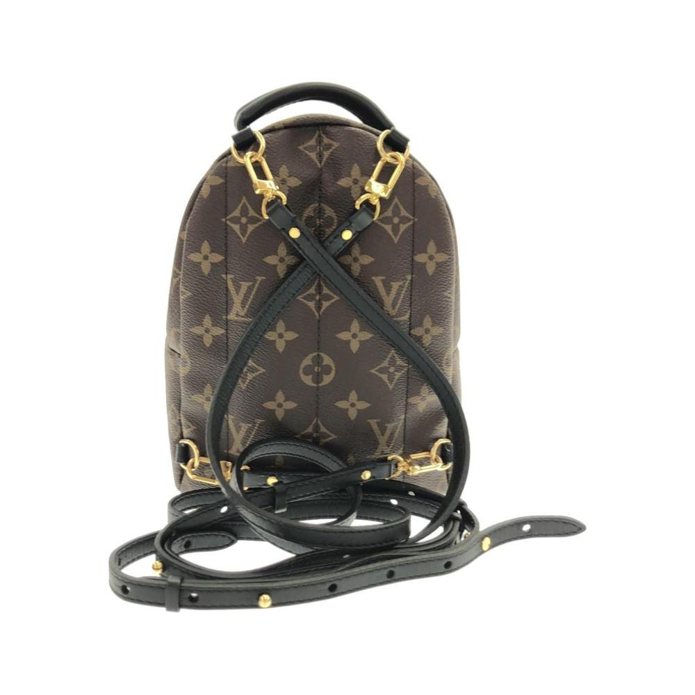 Louis Vuitton Palm Springs