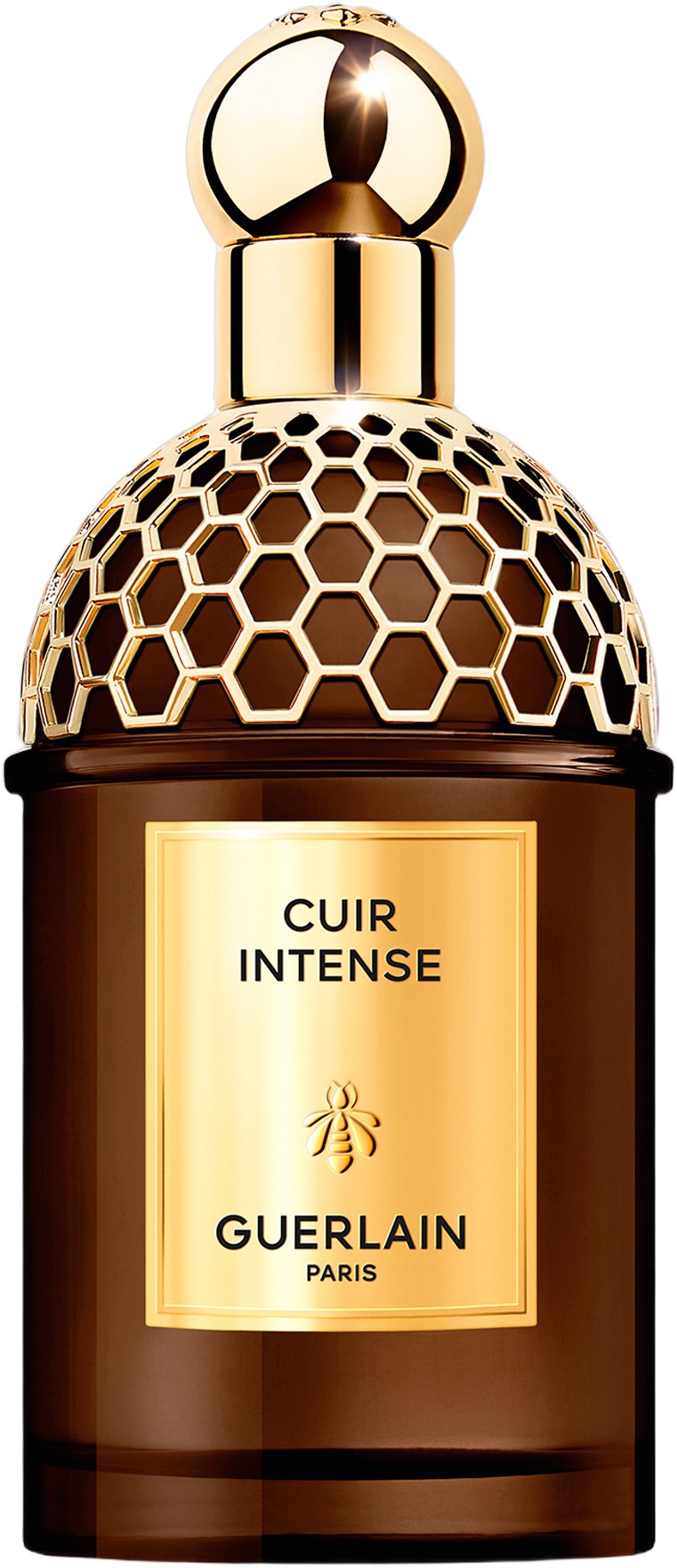Absolus Allegoria Cuir Intense