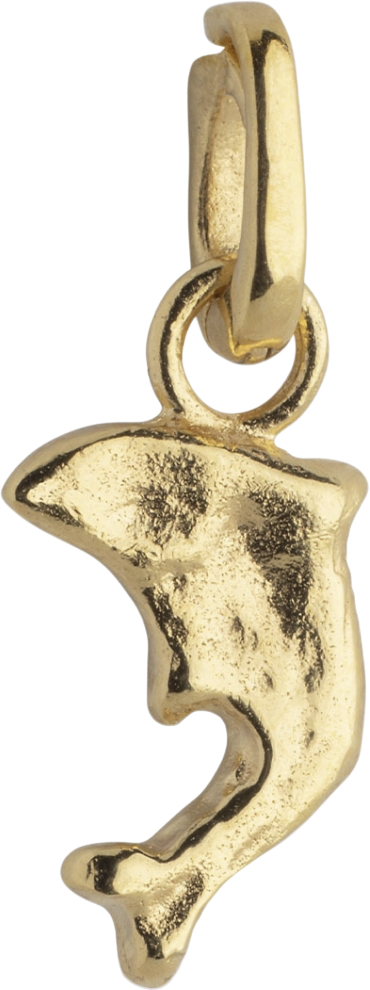 Charm Joyful Dolphin