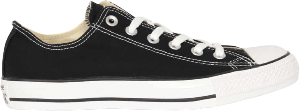 All Star Sneakers