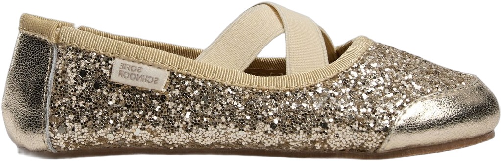 Indoors Shoe