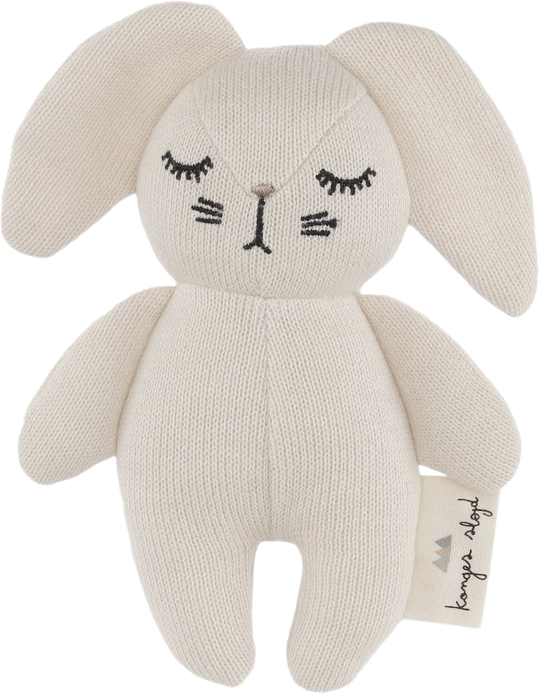 Mini Rabbit