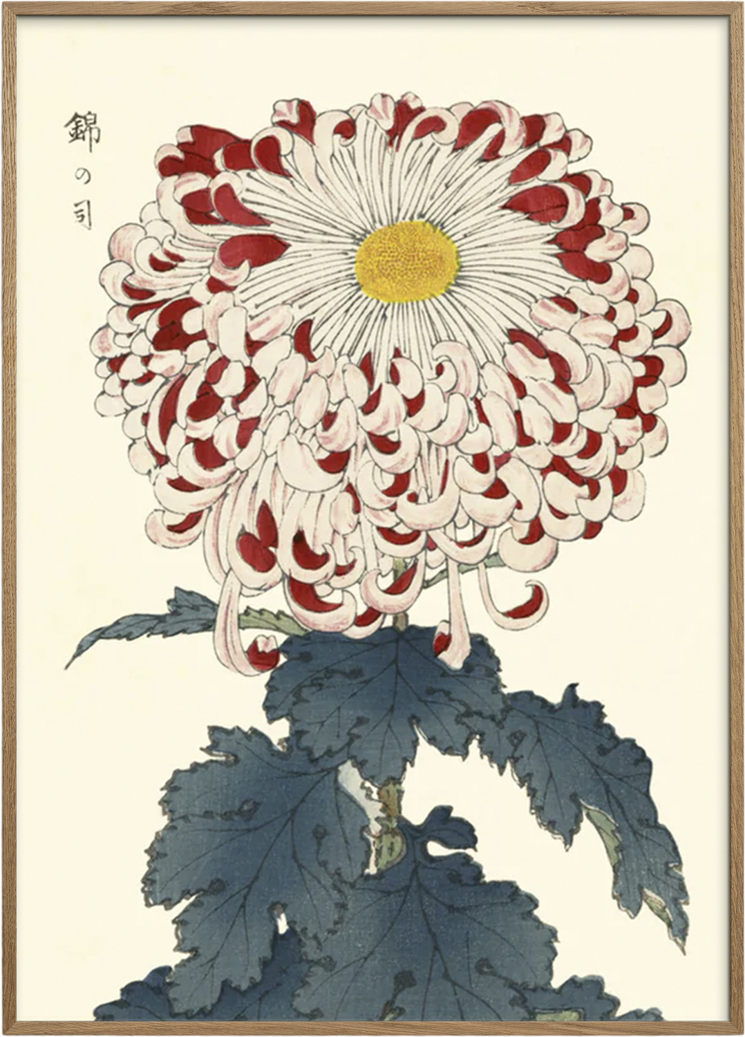 Artimuus Artimuus 110