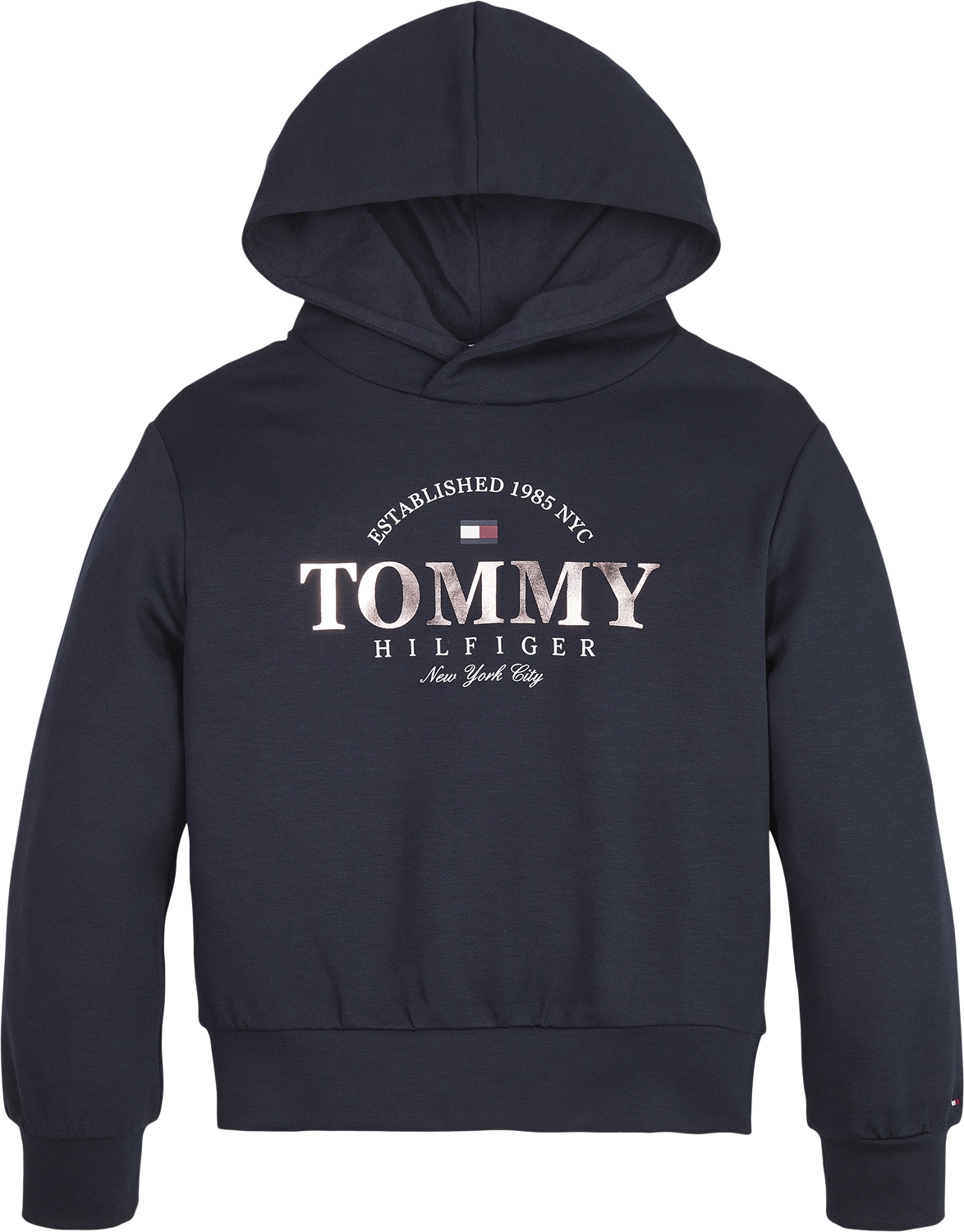 Tommy Foil Graphic Hoodie