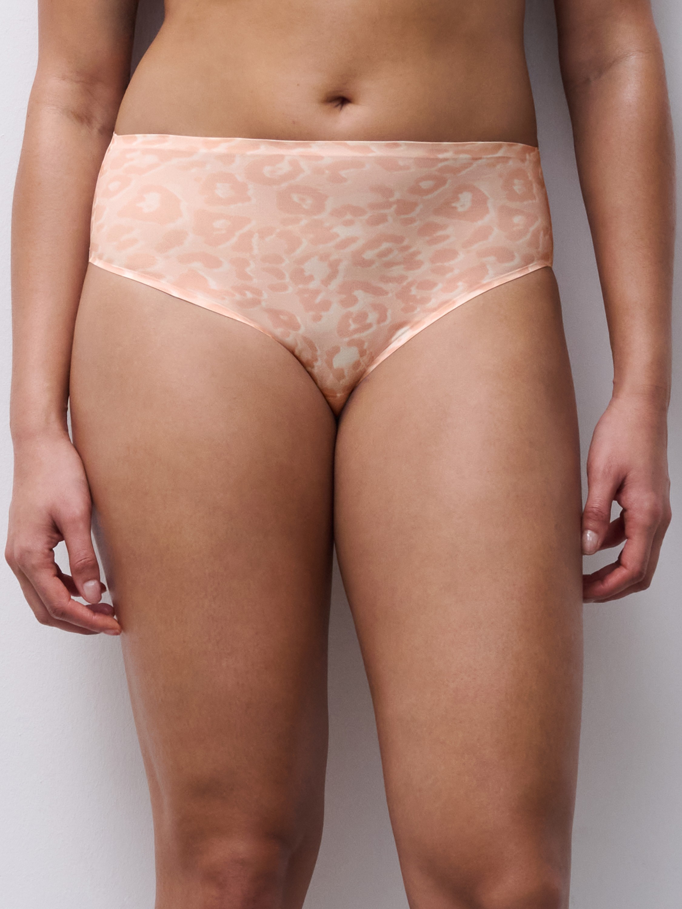 Softstretch High Waist Brief