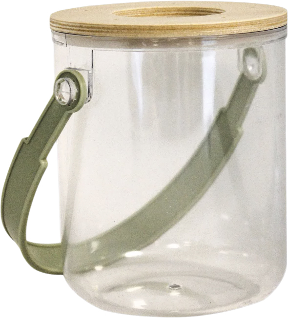 Insektglas MED Forstørre