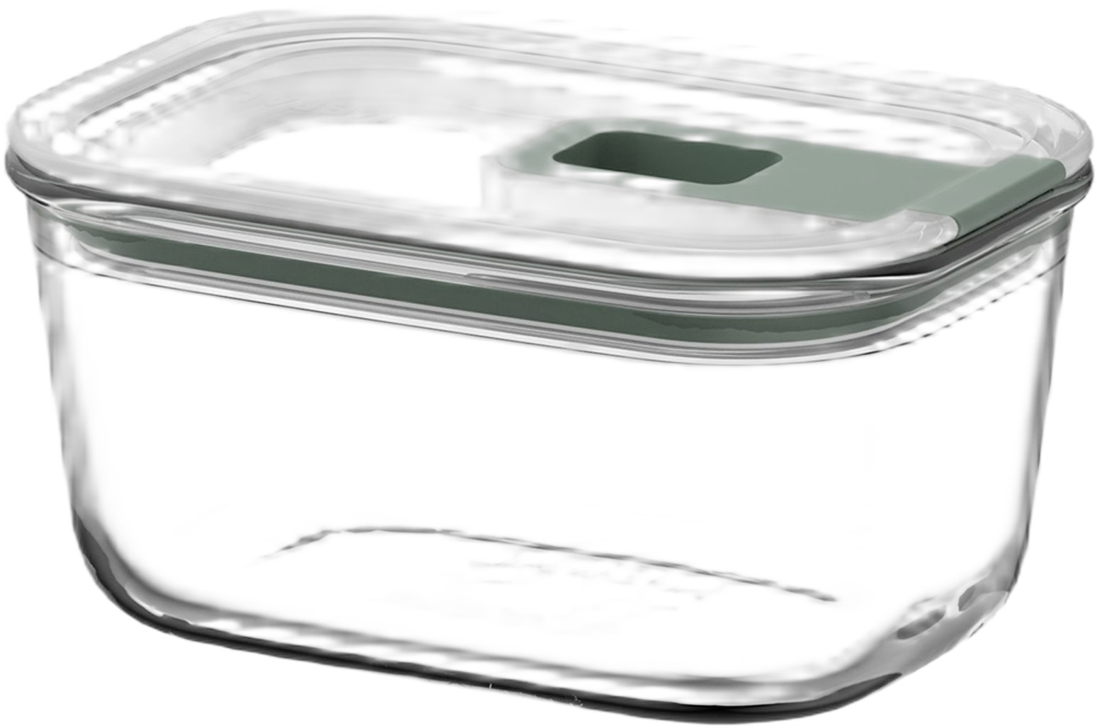 Husholdningsboks Easyclip 450 ml Nordic Sage Glas